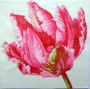 066 Tulips - 3 ply